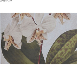 Cadre Home ESPRIT Tropical Orchidée 50 x 2,5 x 70 cm (2 Unités)