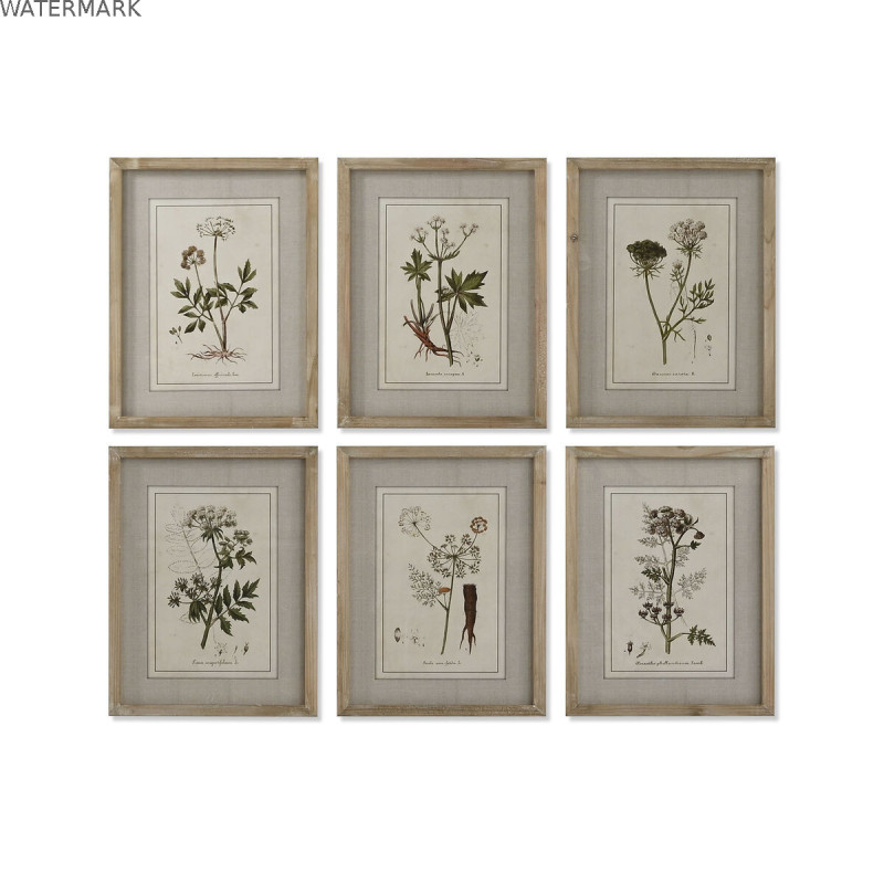 Cadre Home ESPRIT Shabby Chic Plantes botaniques 30 x 2 x 40 cm (6 Unités) Cadre Home ESPRIT Shabby Chic Plantes botaniques 30 x 2 x 40 cm (6 Unités)