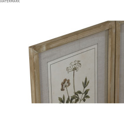 Cadre Home ESPRIT Shabby Chic Plantes botaniques 30 x 2 x 40 cm (6 Unités)