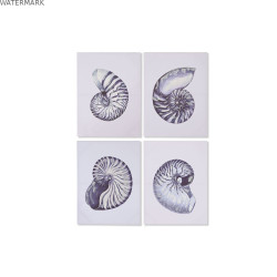 Cadre Home ESPRIT Conque 60 x 2,5 x 80 cm (4 Unités)
