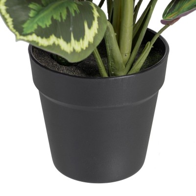 Plante décorative 37 x 37 x 41 cm Vert PVC