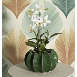 PANIER CACTUS CM Ø 22 X 13,5