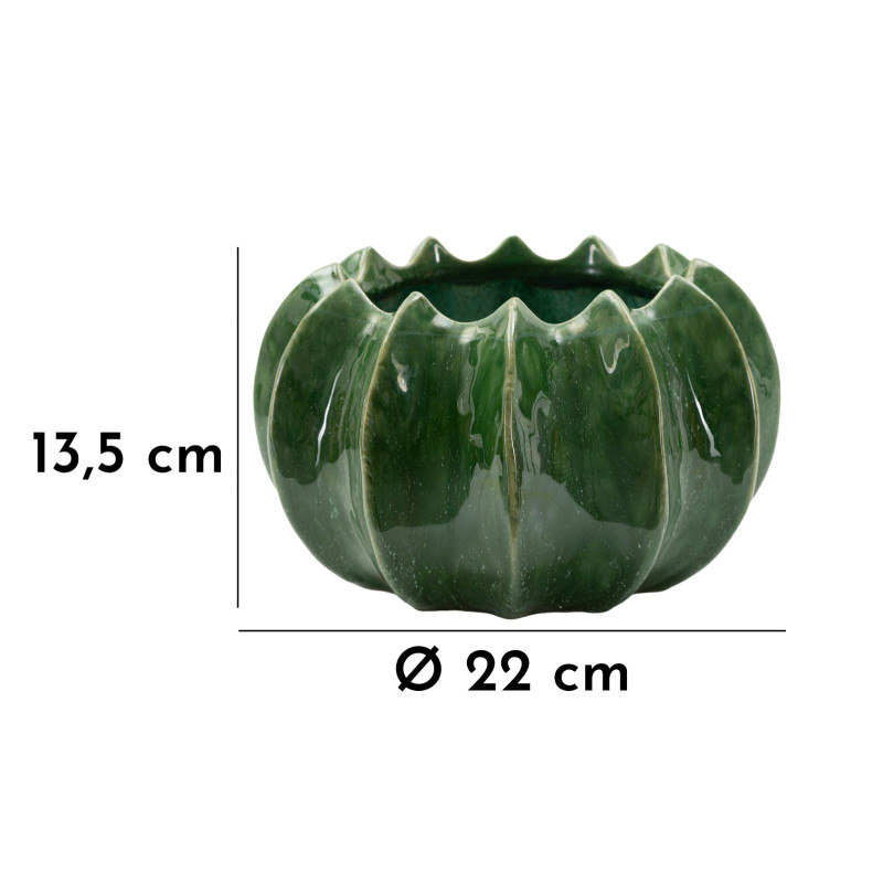 PANIER CACTUS CM Ø 22 X 13,5