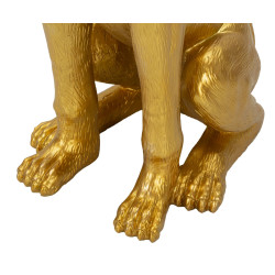 FOSSE POUR CHIEN AVEC PLATEAU CM 27X51X74