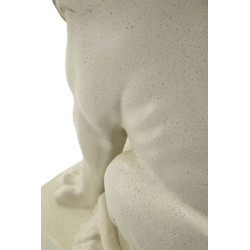 LION STONS CM 17,5X25X40