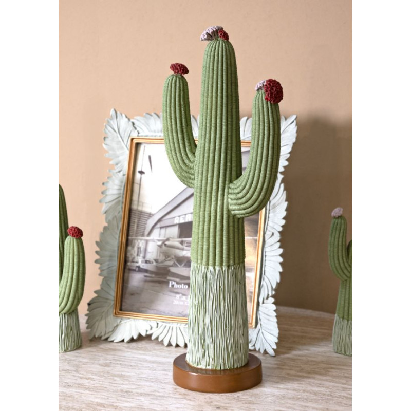 CACTUS CM 16,5X11X45