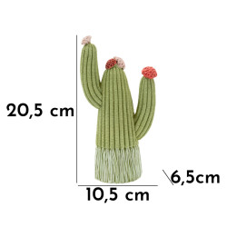 CACTUS CM 10,5X6,5X20,5