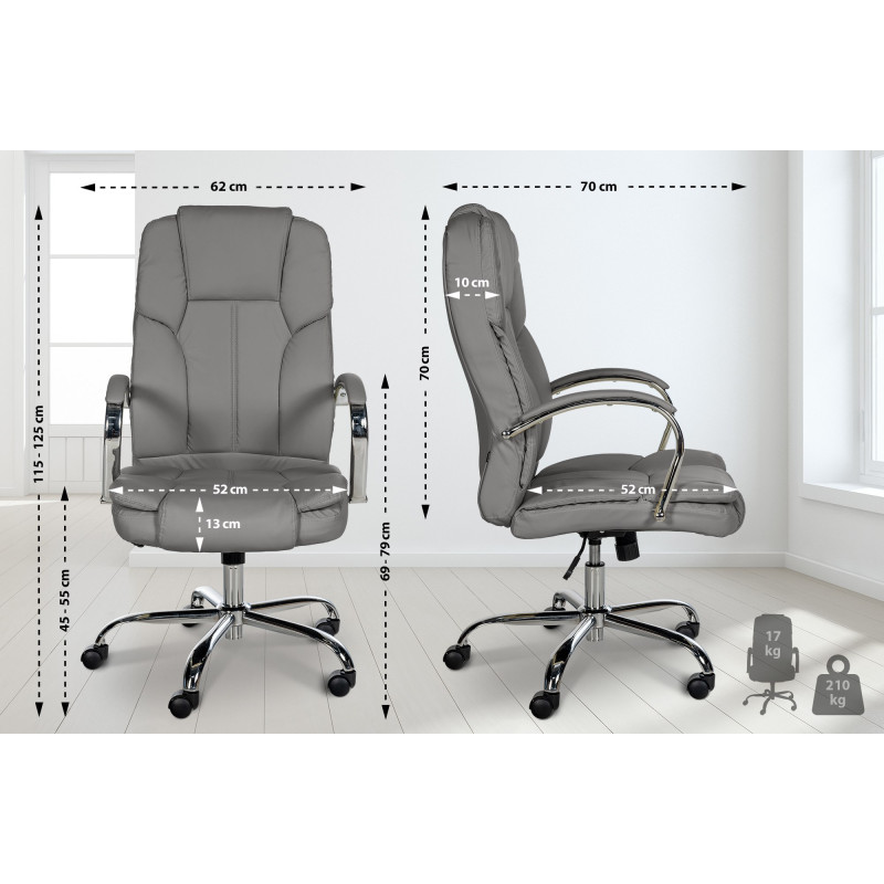 Fauteuil de bureau BIG Xanthos grise