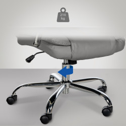 Fauteuil de bureau BIG Xanthos grise