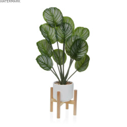 Plante décorative Versa