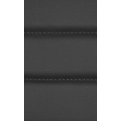 Lot de 2 chaises de salle à manger Elvas simili cuir noir