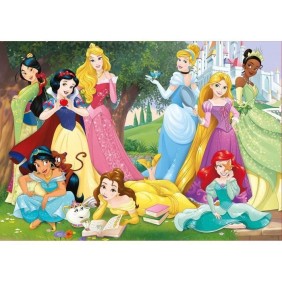 Puzzle Disney Princesses 500 pieces - Marque Educa - Theme Dessins animés et BD