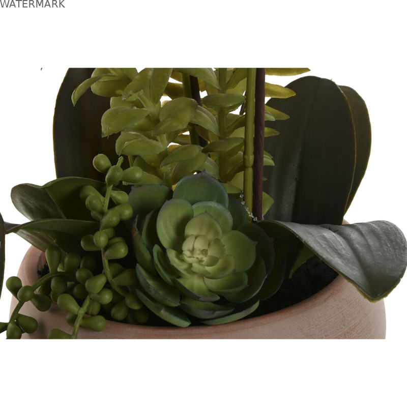 Plante décorative Home ESPRIT Polyéthylène Papier mâché 40 X 35 X 52 cm (2 Unités)