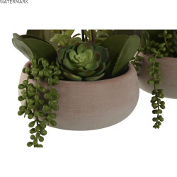 Plante décorative Home ESPRIT Polyéthylène Papier mâché 40 X 35 X 52 cm (2 Unités)