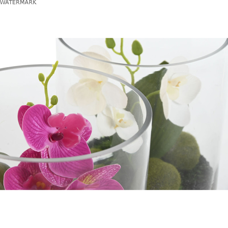 Plante décorative Home ESPRIT PVC Verre 15 x 15 x 20 cm (2 Unités)