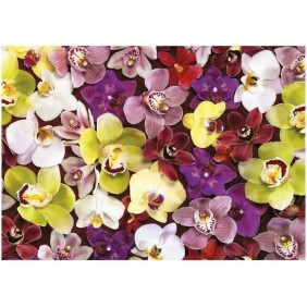 Puzzle 1000 pieces - COLLAGE ORCHIDÉES - EDUCA - Nature morte et objets - Mixte - Espagne