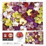 Puzzle 1000 pieces - COLLAGE ORCHIDÉES - EDUCA - Nature morte et objets - Mixte - Espagne