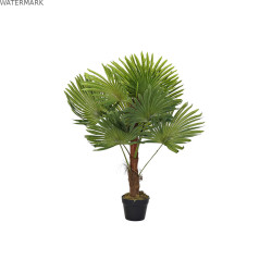 Plante décorative DKD Home Decor Palmier Vert PE (40 x 40 x 90 cm)