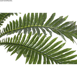 Plante décorative Home ESPRIT PVC Fougère 80 x 80 x 60 cm