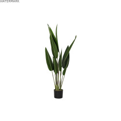 Plante décorative DKD Home Decor 40 x 40 x 115 cm Polyéthylène Vert Oiseaux de paradis Urbaine