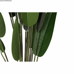 Plante décorative DKD Home Decor 50 x 50 x 160 cm Polyéthylène Vert Oiseaux de paradis Urbaine