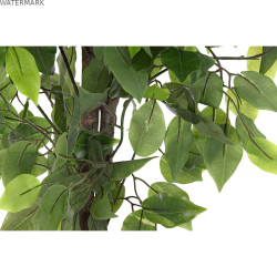 Plante décorative DKD Home Decor 50 x 50 x 90 cm Métal Polyéthylène Vert 30 x 40 cm Ficus Urbaine