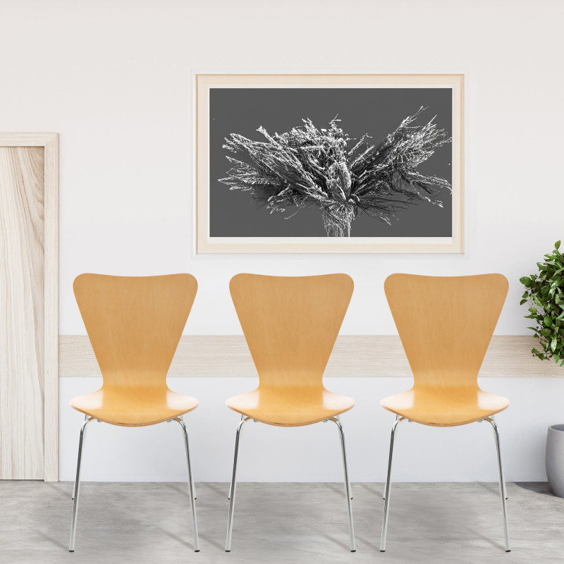 Ensemble de 2 chaises visiteurs Calisto | nature