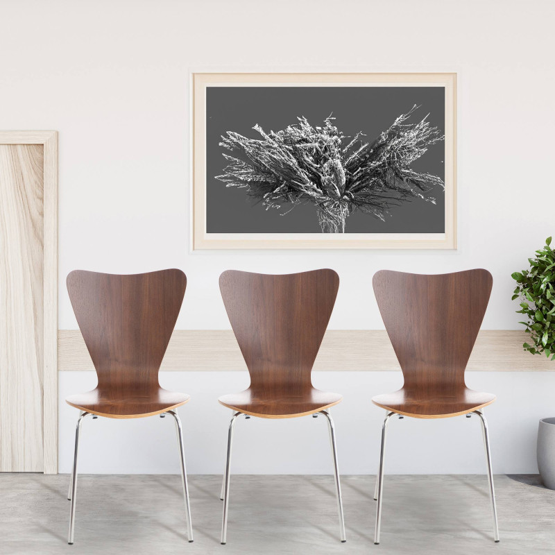 Ensemble de 4 chaises visiteurs Calisto | noyer