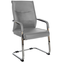 Chaise visiteur Hobart | gris