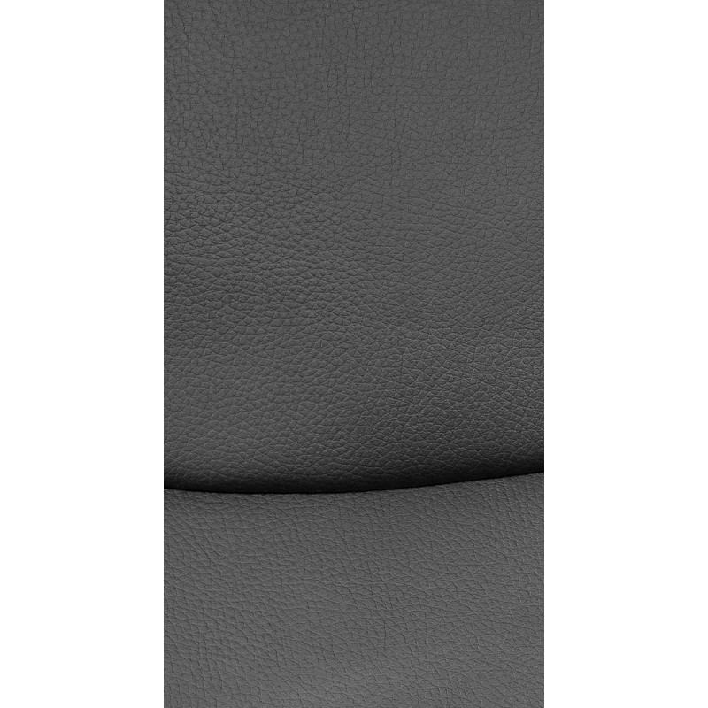 Ensemble de 2 chaises visiteurs Hobart | noir