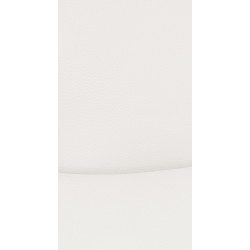 Ensemble de 2 chaises visiteurs Hobart | blanc