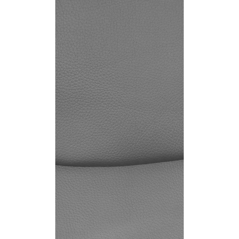 Ensemble de 2 chaises visiteurs Hobart | gris