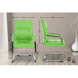 Ensemble de 2 chaises visiteurs Hobart | vert