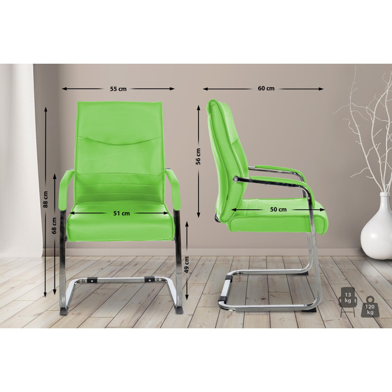 Ensemble de 2 chaises visiteurs Hobart | vert