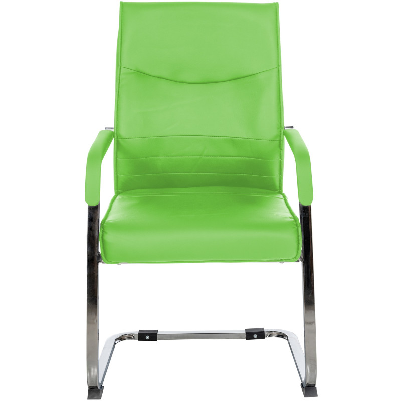 Ensemble de 2 chaises visiteurs Hobart | vert