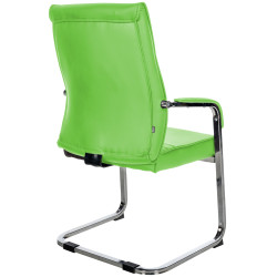 Ensemble de 2 chaises visiteurs Hobart | vert