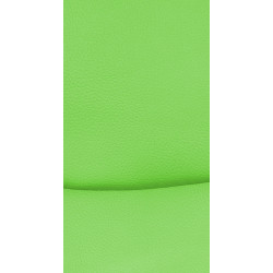 Ensemble de 2 chaises visiteurs Hobart | vert