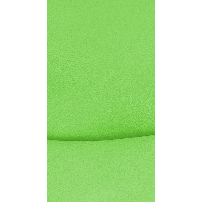 Ensemble de 2 chaises visiteurs Hobart | vert