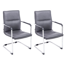 Lot de 2 chaises visiteurs Seattle | gris