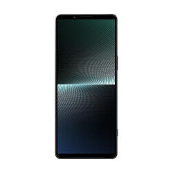 Câble DVI Sony Noir