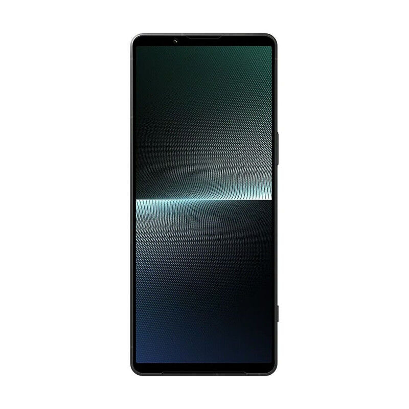 Câble DVI Sony Noir