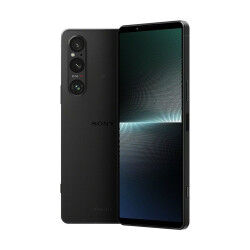 Câble DVI Sony Noir