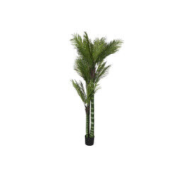 Plante décorative Home...