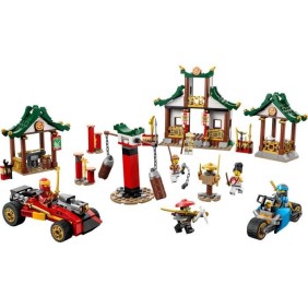 LEGO NINJAGO 71787 La Boîte de Briques Créatives Ninja, Jouet Rangement, Voiture et Moto