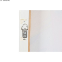Cadre DKD Home Decor 60 x 4 x 80 cm Moderne Feuille d'une plante (2 Unités)