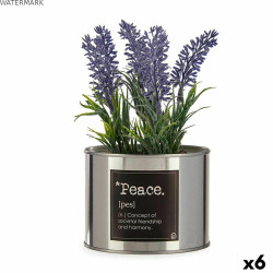 Plante décorative Ibergarden Métal Plastique Cannette Lavande 10 x 18 x 10 cm (6 Unités)