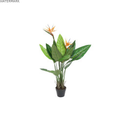Plante décorative DKD Home Decor (80 x 80 x 120 cm)