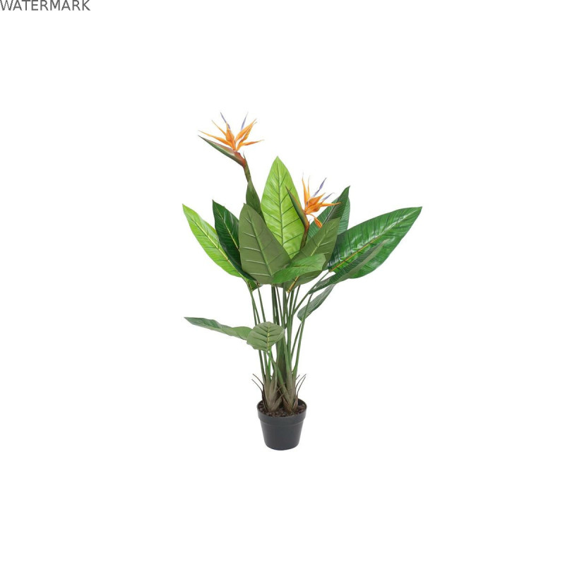 Plante décorative DKD Home Decor (80 x 80 x 120 cm)