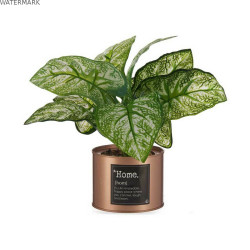 Plante décorative Ibergarden Home Métal Plastique Cannette 26 x 26 x 26 cm Cuivre (6 Unités)