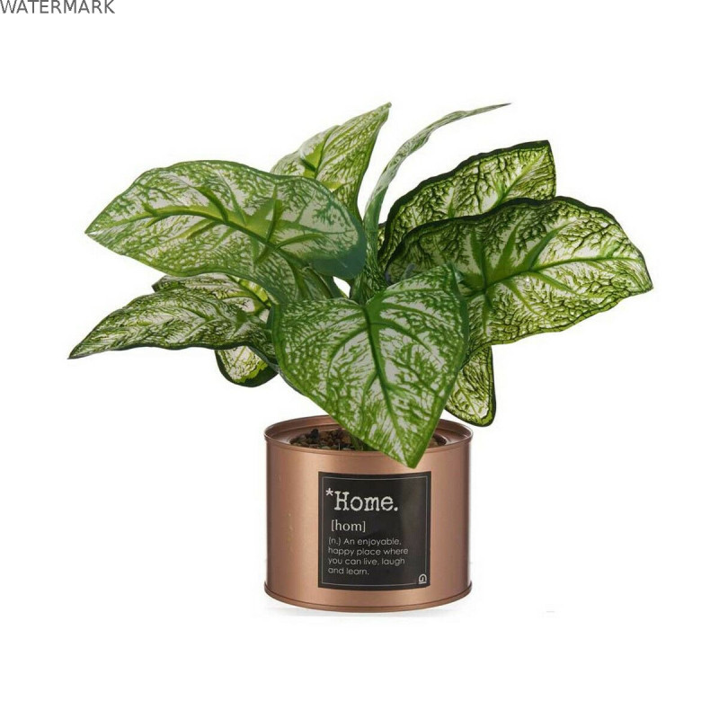 Plante décorative Ibergarden Home Métal Plastique Cannette 26 x 26 x 26 cm Cuivre (6 Unités) Plante décorative Ibergarden Home Métal Plastique Cannette 26 x 26 x 26 cm Cuivre (6 Unités)